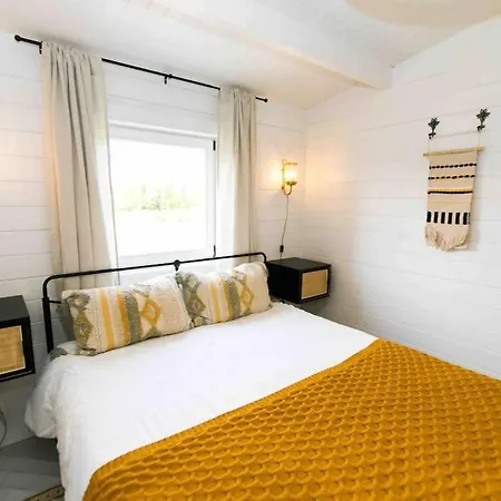 The Apiary 基拉尼