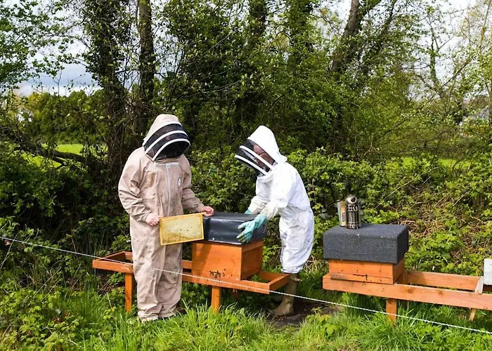The Apiary *